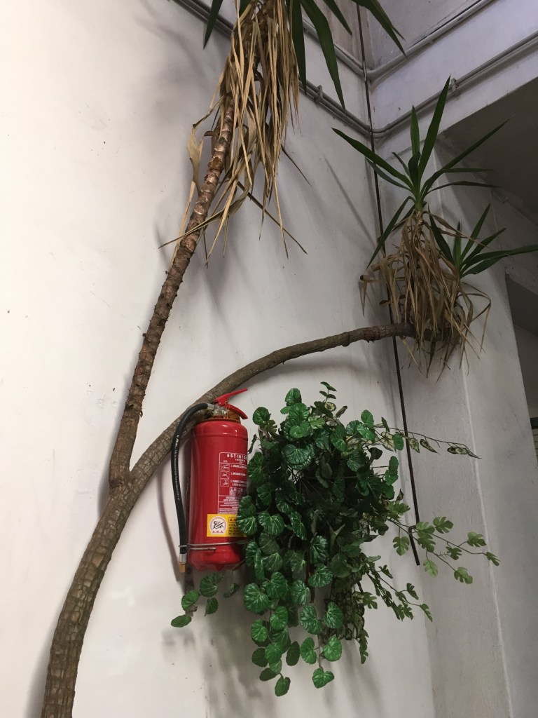 Fire extinguisher, nature, plants, fire safety plants